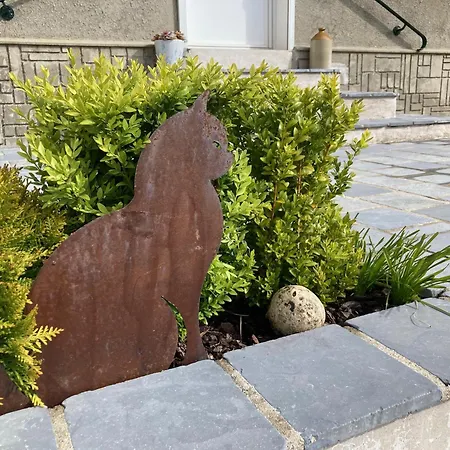 La Source De La Liane